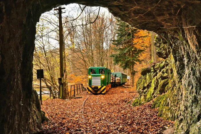 Forest Train of Palhaza